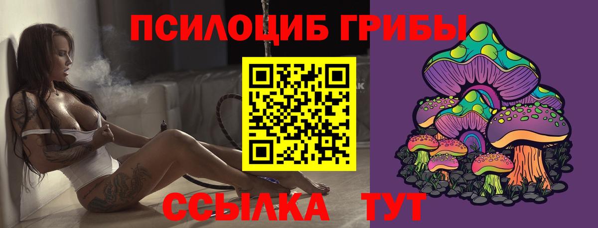 Псилоцибиновые грибы мицелий Сертолово