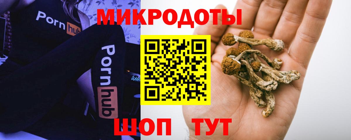 Псилоцибиновые грибы GOLDEN TEACHER  Псилоцибиновые грибы MAGIC MUSHROOMS  Вход с VPN  Сертолово 